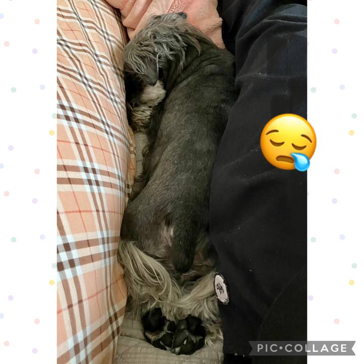 Dd169d54 09e1 4fb3 bd7c 9cdb1377de4b 1745740690311