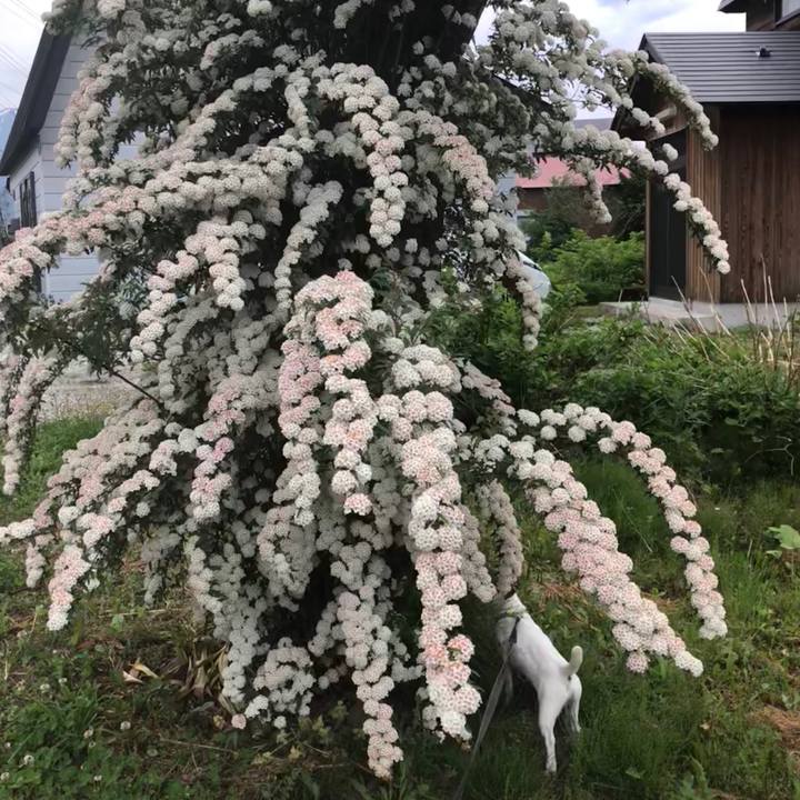 Dd169f67 15fd 44f3 85e6 c3db7072b642 1527833472221