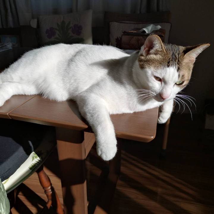 Dd16a753 6f92 4b12 89d2 8680dd5c27f9 1764210649520