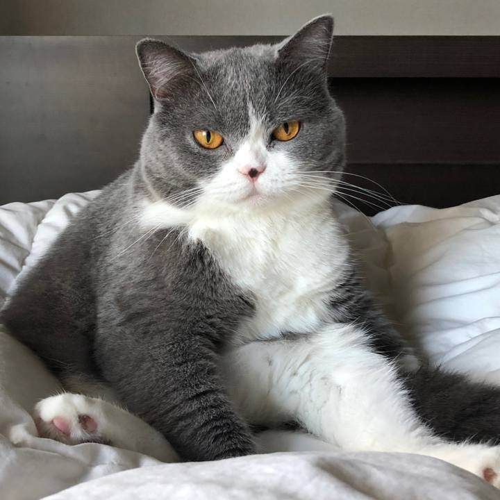 Dd16bc95 24c3 423c 9294 d516e36f01e6 1535436285727