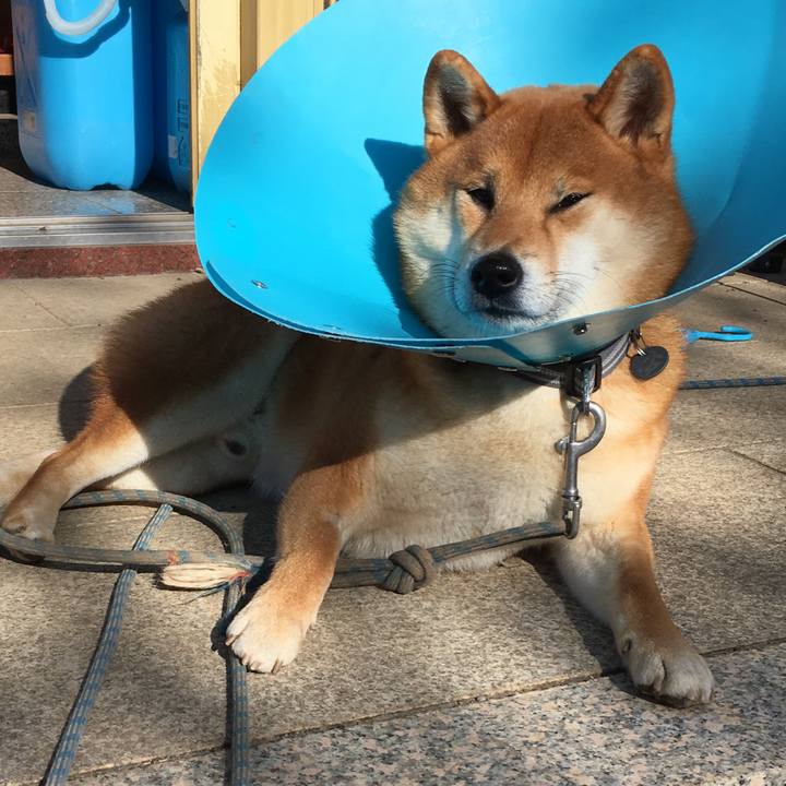 Dd16d113 25fd 43f0 8b46 4a659bd04c78 1512265316732