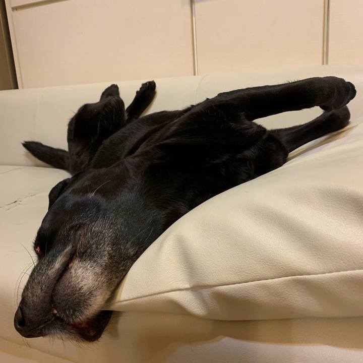 Dd16e679 ed74 4658 bef8 50c363670bf9 1552302411064