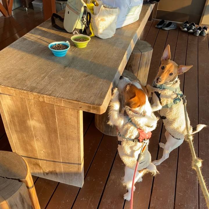 Dd16e777 8b8b 48cc bc5d 3111d54da7d3 1767270296023