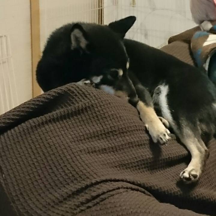 Dd16f4fc a17b 4d7a 9f86 006f99a5ac34 1516532462103