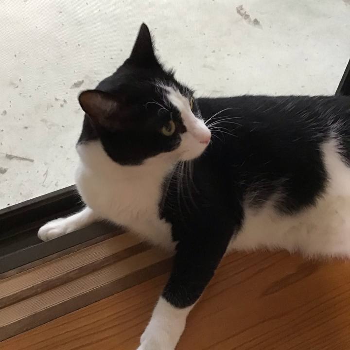 Dd17196e 2fd7 47e4 aad4 604653b9c3eb 1724229976023