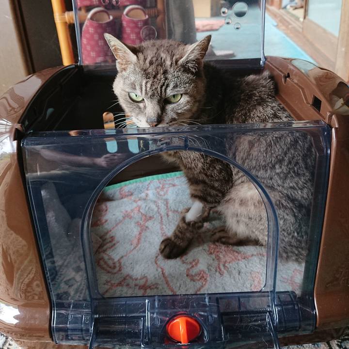 Dd1724c6 a3e4 4308 9f30 0b0607817901 1595641105144