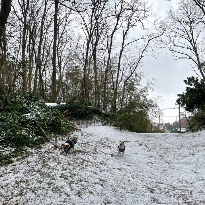 Dd174021 19a0 4ed1 a274 0a9fa4e225bb 1770420317303