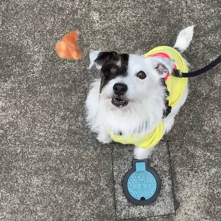 Dd1798a0 9708 4a9f a868 ca58898f32eb 1687480605739