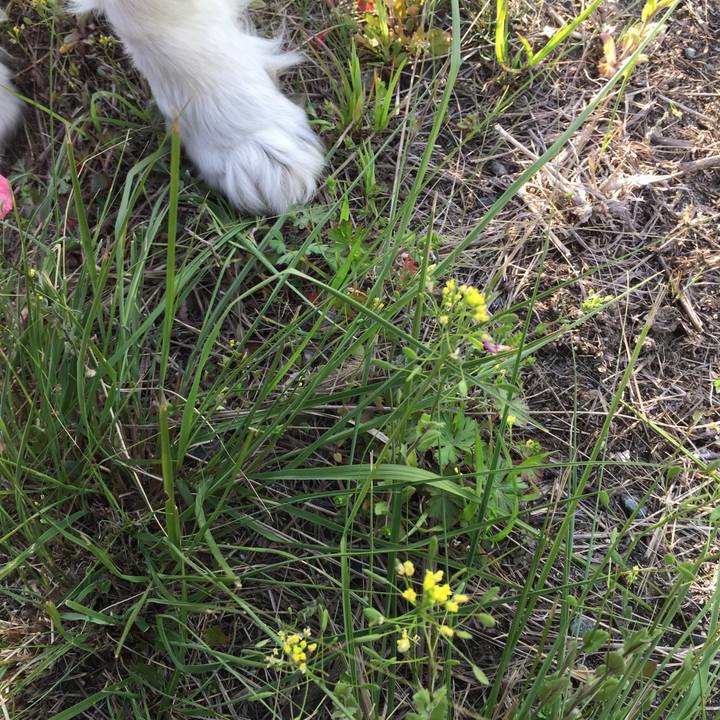 Dd17b5ed a7fb 40d5 9557 ab0d716348a2 1554428937562