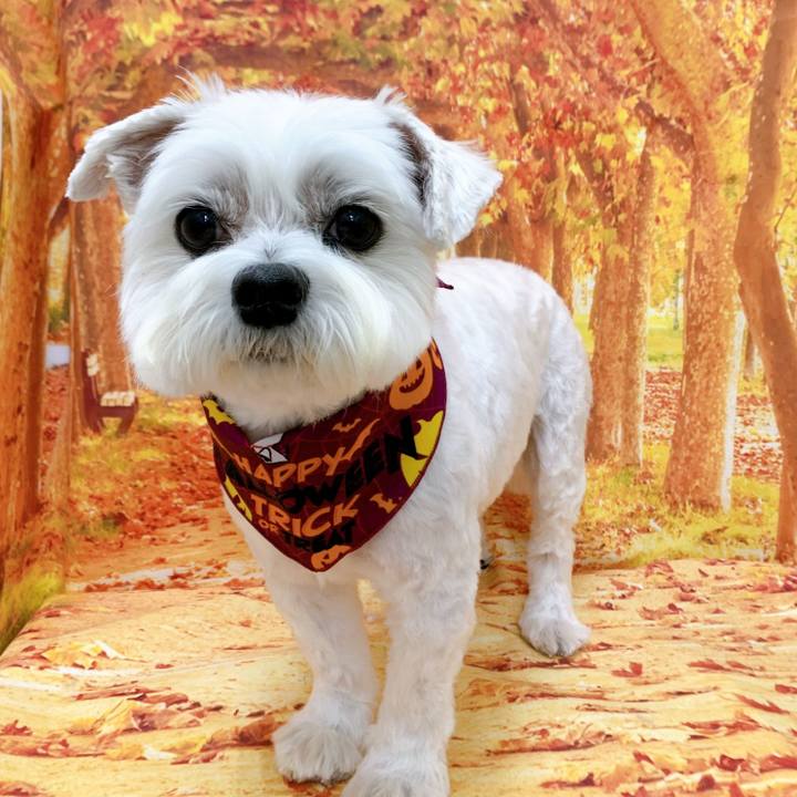 Dd17c0a5 70fc 4d41 b23c 9ee73bdb91be 1666695957216