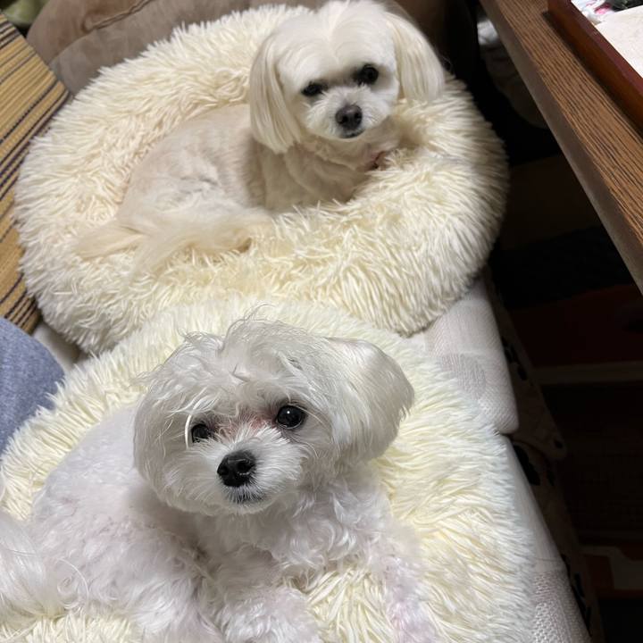 Dd17c9e2 520f 4d09 8c7f 3d0de403fb37 1728983433259