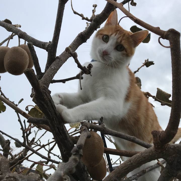 Dd17e894 be22 45e2 9977 aa62c3c7df32 1509768913374