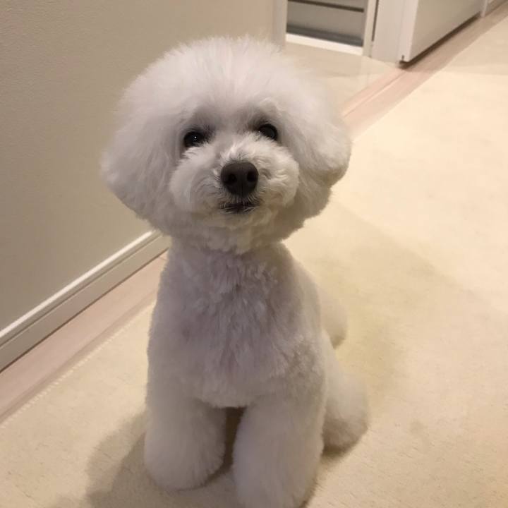 Dd1803a8 dd7c 4bea ae25 245aa292985b 1548663716994