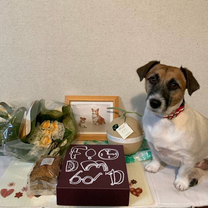 Dd186f78 9df7 4ad0 be70 ed470c4883d8 1602934111903