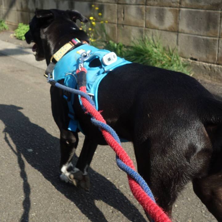 Dd18e5b9 69f4 4a6d 8ab2 16eff2f2cdba 1624667854912