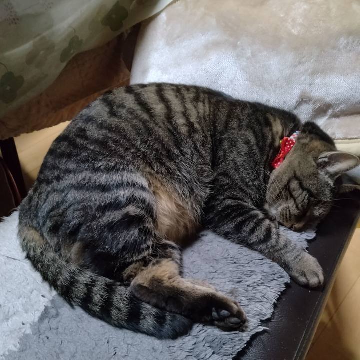 Dd190c86 7d52 4733 bc90 a4def1fbc030 1671105357891