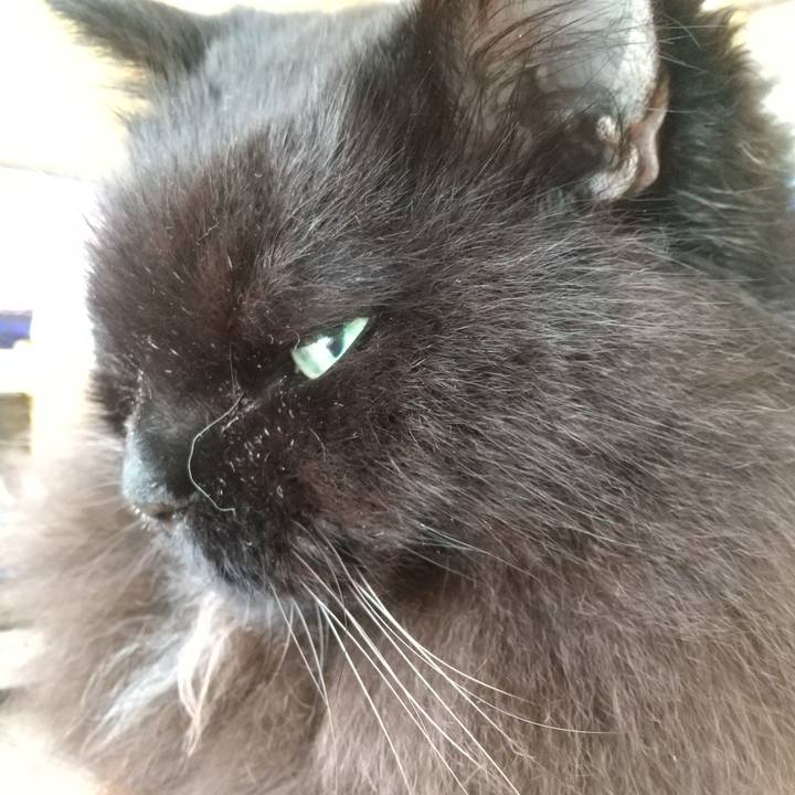 Dd192367 02c2 4d29 bdcd e1920e2fc4e5 1691973966277