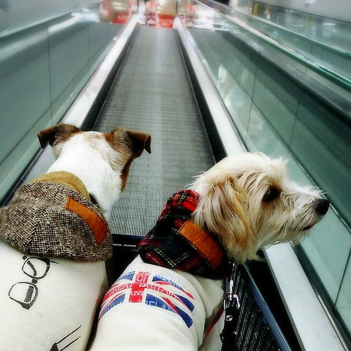 Dd19458f 3d26 48a2 a602 093e5e26bc47 1512296421396