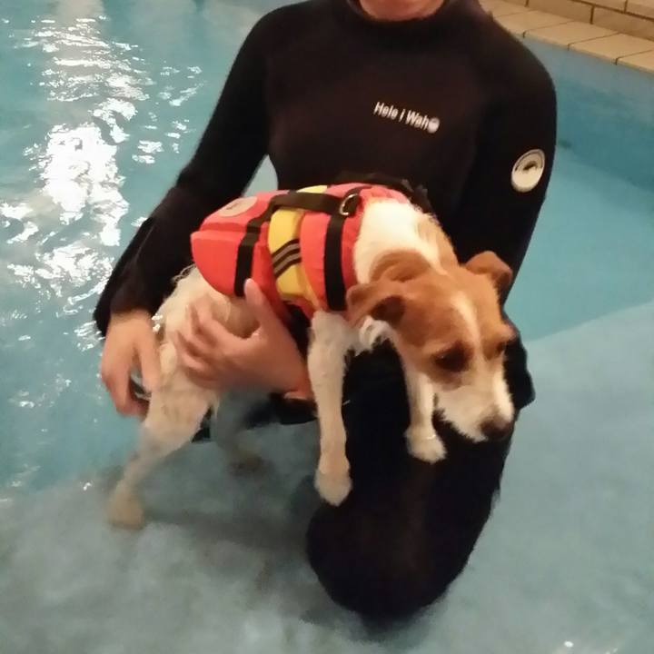 Dd195df0 b67f 426b 94cc b62c9c12b8f1 1514936750177