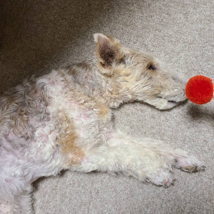 Dd19670e 48e9 4330 8e03 456c65eeefc9 1660085473024