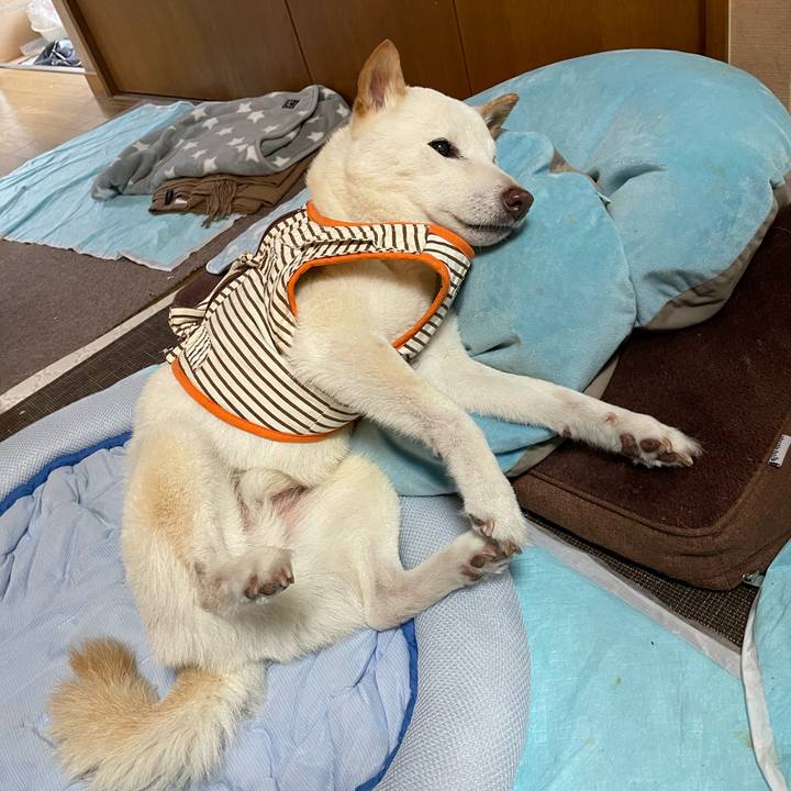 Dd1973bb 33eb 4ccd 99c7 b71a9b5582a5 1656404800040