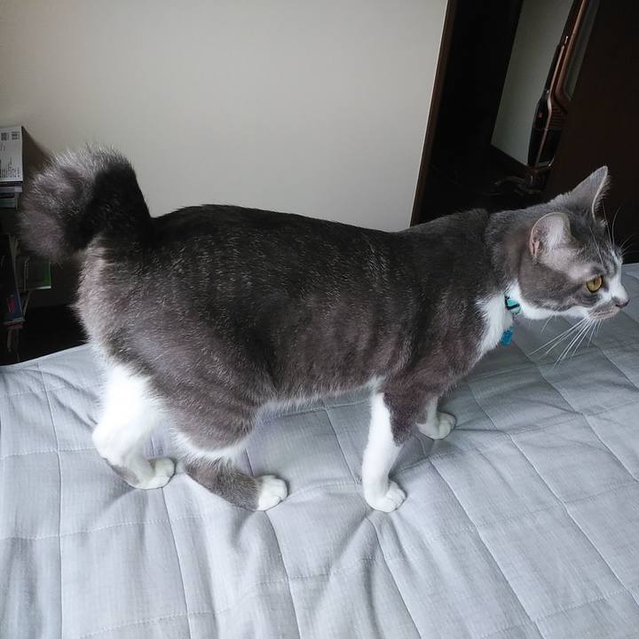 Dd1992d1 f782 42e6 a64b 87eb40567896 1591348953148