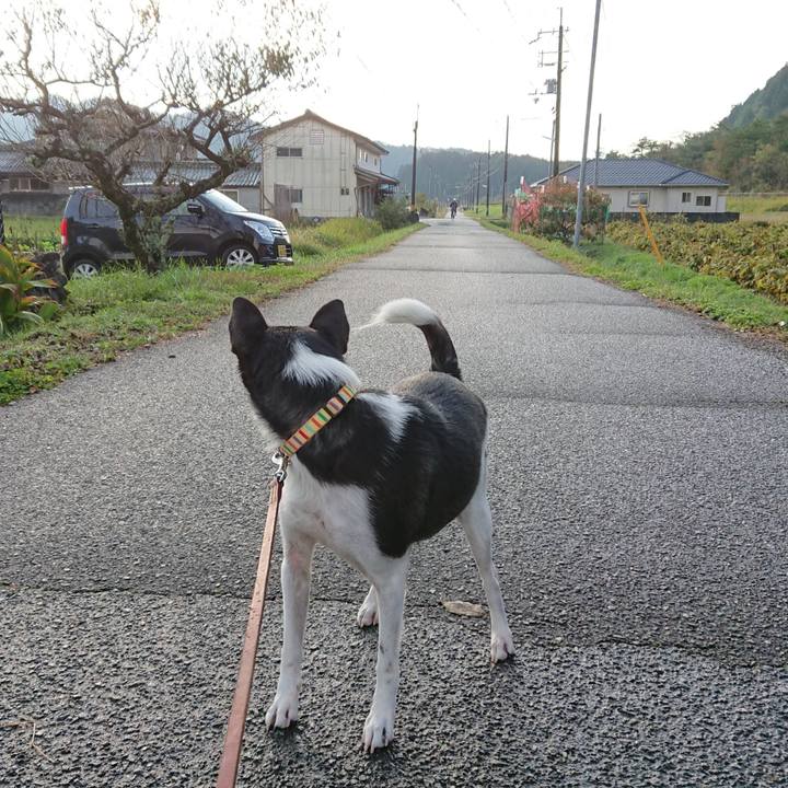 Dd199ed2 2c79 4c9c 98d3 090f6c3ff821 1540595092856