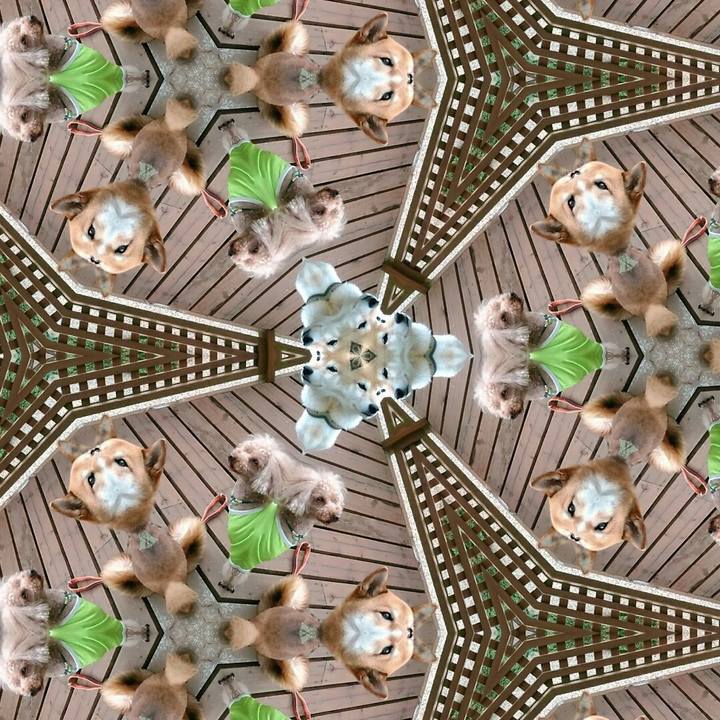 Dd19a94e f1d1 44f1 b074 5b20812db0e8 1527769384569