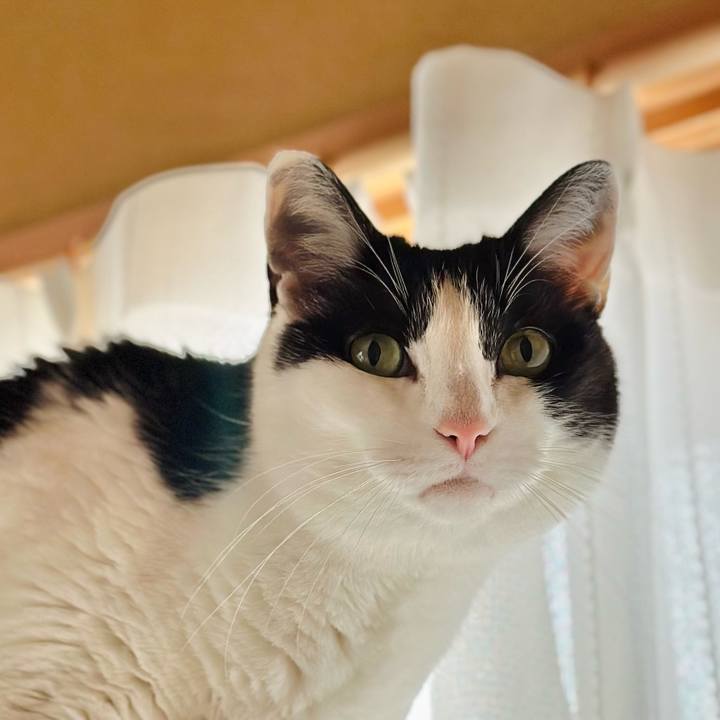 Dd19f10e 0e3e 4001 94f6 91a339c473e5 1713232128434