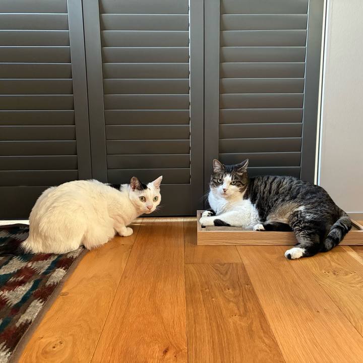 Dd19f2b6 16fe 4701 b0d2 419248c6d228 1759099947193