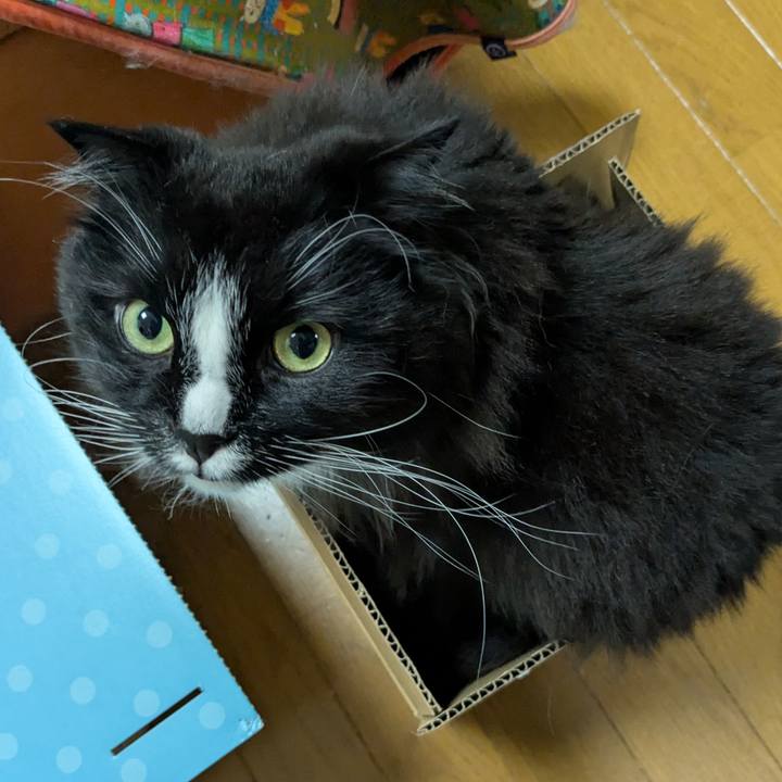 Dd19f665 4f9b 4069 8b20 921e5d331d01 1746188000524