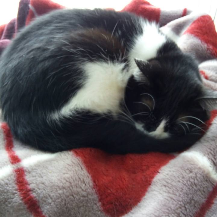 Dd1a313d 172c 4381 9d68 06592759cf13 1507950933005