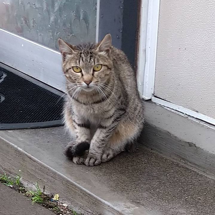 Dd1a41b6 8e8d 4cc5 b97a 3f1a0e0b53f2 1596893679017