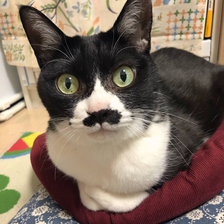 Dd1a8804 5e58 4b95 95cc 7947f7a8d055 1582376575494