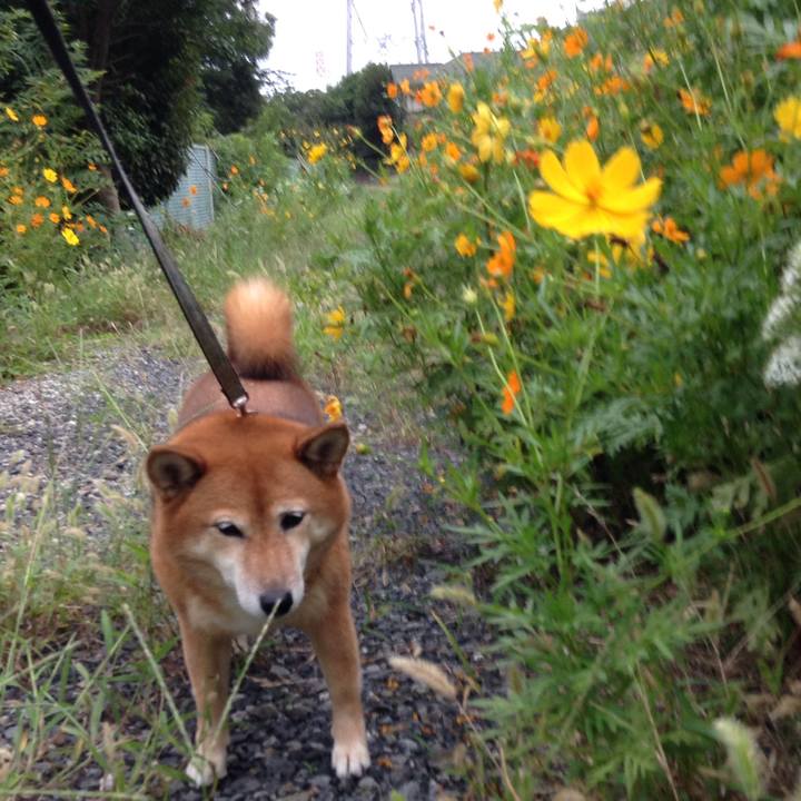 Dd1a9cc4 fd1d 494a a04f 375d5c117970 1537170531198