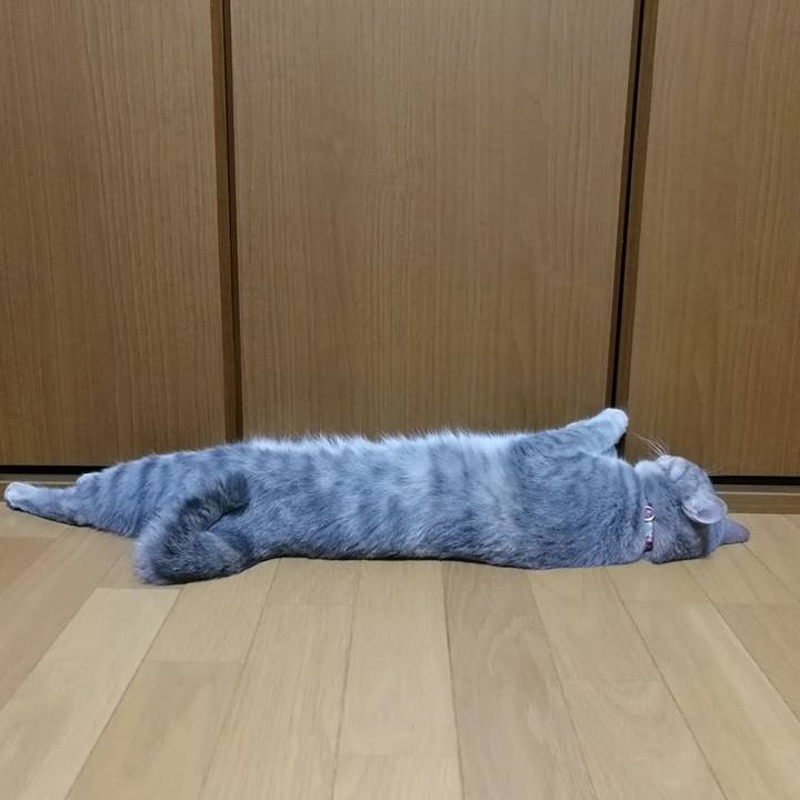 Dd1aaa31 154e 4f23 ae69 ba78ae4dba6c 1530149350241