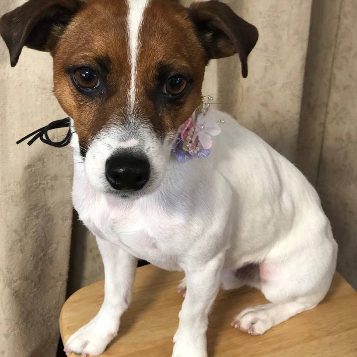 Dd1ac14d a778 43fc a9d7 ddcdab6198d3 1585043672819