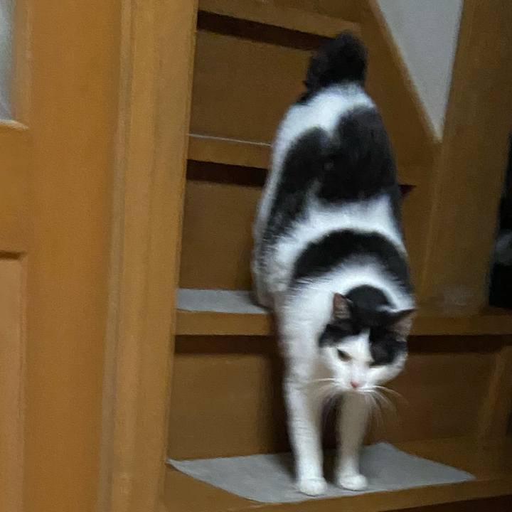 Dd1ac521 e5c2 416a 8c17 38041e690dfb 1605609266319