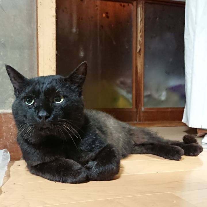 Dd1acfa5 5b21 4f8d a57c 337dc3401da8 1626527708030