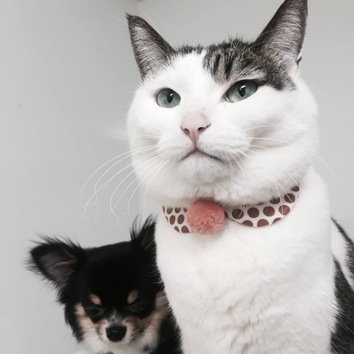 Dd1b20c8 38c6 4937 82bb 93b186df56bb 1521542044805