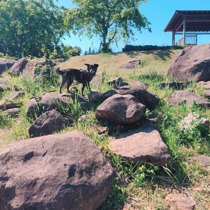 Dd1b4622 dba6 40f8 bf3f eec03fd1330c 1620032811342