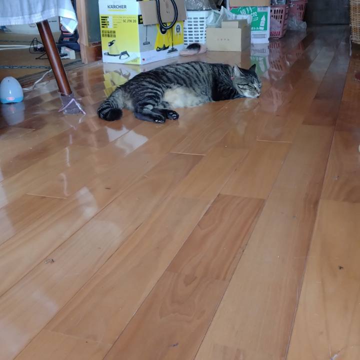 Dd1b5f68 1b1d 4562 b5e9 4565e31ec4df 1690441053329