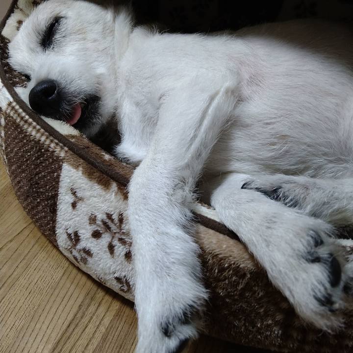 Dd1b9112 7887 438a ae5a b8296fa4d149 1742649125196