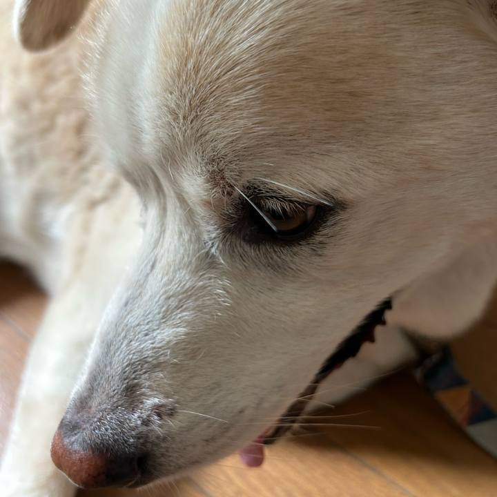 Dd1baab7 d680 4852 889e 5842fbd53d16 1751941446504