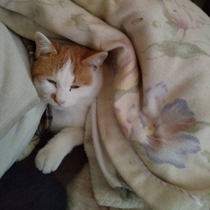 Dd1bcf43 5466 4063 a2cf 69c64709ab48 1769051508649