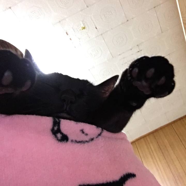 Dd1be477 5ea5 421d b1be 49198168ce28 1520767287526