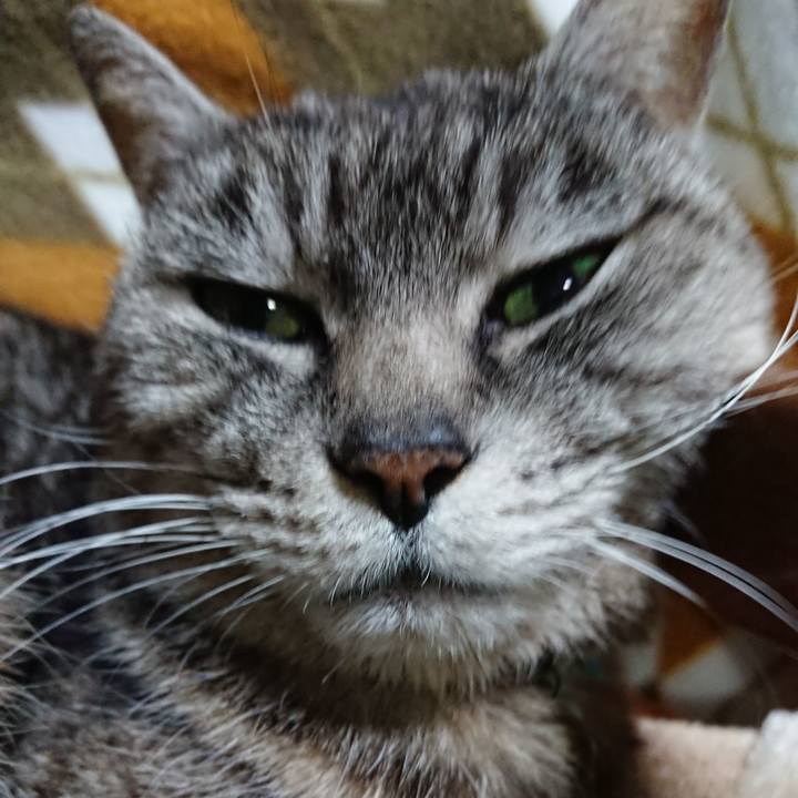 Dd1bfab7 f2a0 4fea 902f 6f0da3790287 1552991707926