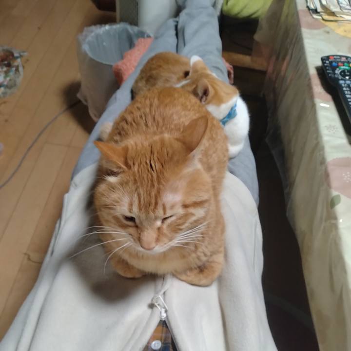 Dd1c1aef ffaf 4ba8 b2fa 3afb6fd77256 1739955656777