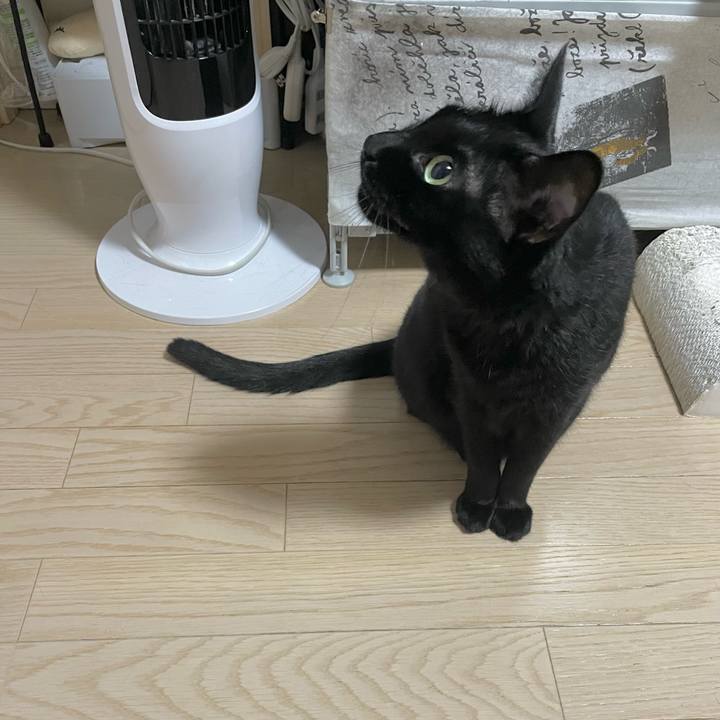 Dd1c3d52 8ef5 495f 8871 dd733539880d 1728468644363