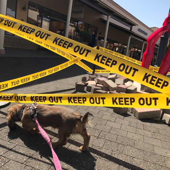 Dd1c5041 4754 450a 8ecb 0c5c884332cd 1615350018870